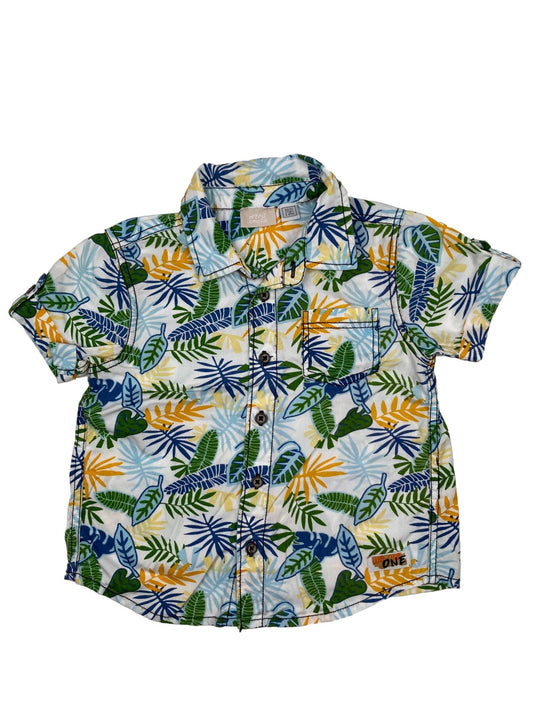 Camisa Tropical 2 Anos