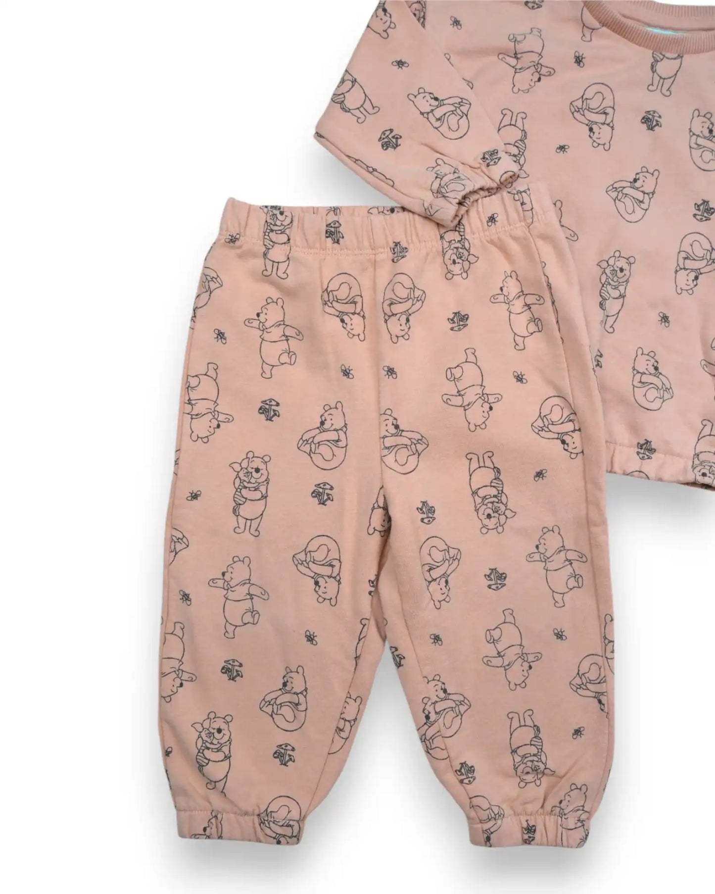 Conjunto Rosa DISNEY - 12 Meses