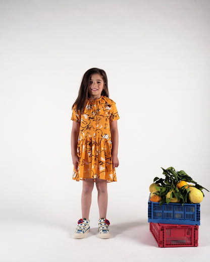 Grace Mobiles Dress 4 Years