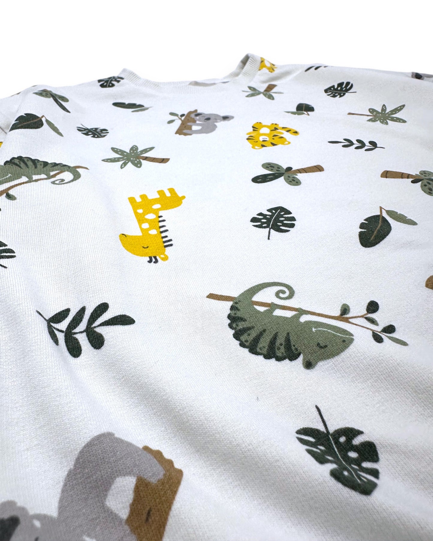 Conjunto Animais 4 Anos