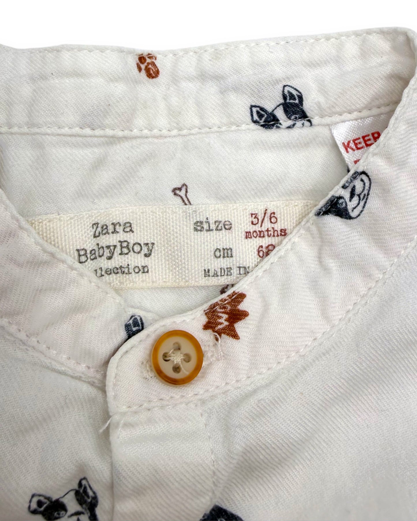 Camisa Branca Cães 3-6 Meses