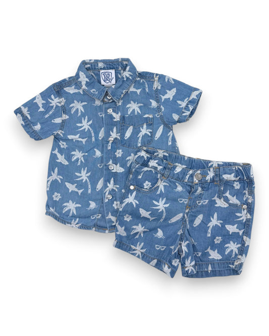 Conjunto Azul Tropical 9 Meses