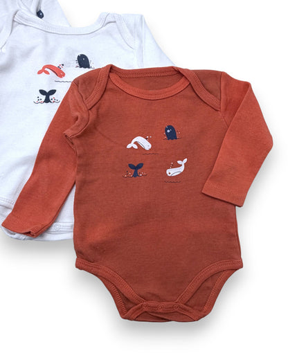 Set of 3 Bodysuits, 1-3 Months