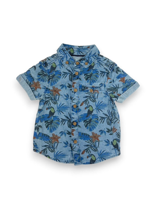 Camisa de Ganga Tropical 9-12 Meses